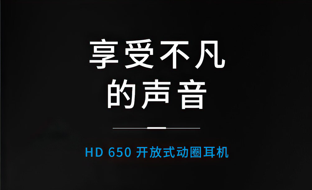 SENNHEISER HD 650插图