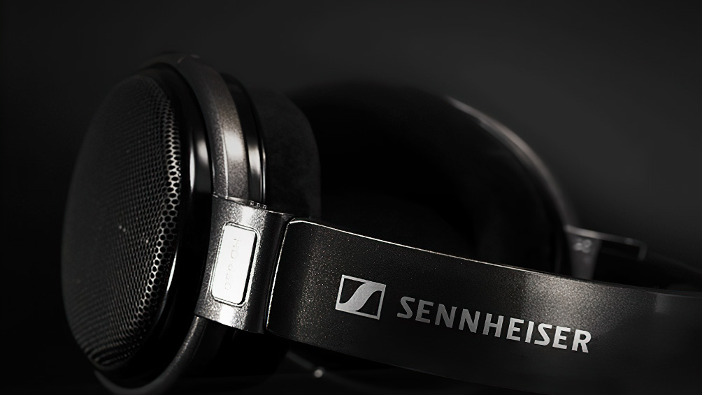 SENNHEISER HD 650插图9