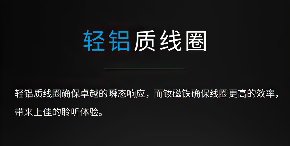 SENNHEISER HD 650插图8
