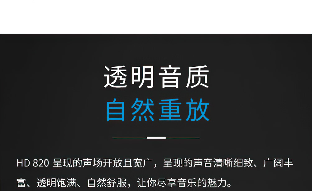 Sennheiser HD 820插图2